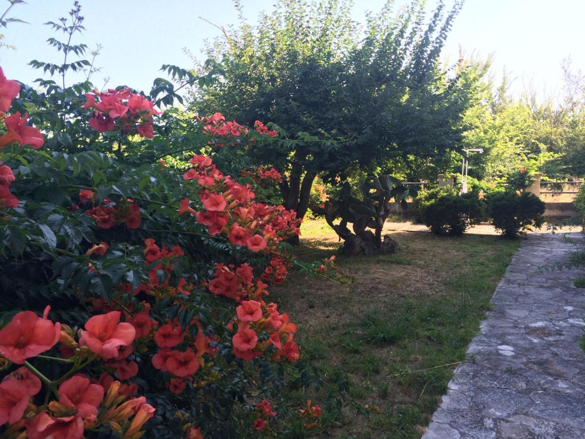 Villa-Toula Roda  Bagian luar foto